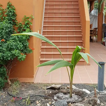 Lejlighed Casa Palmer