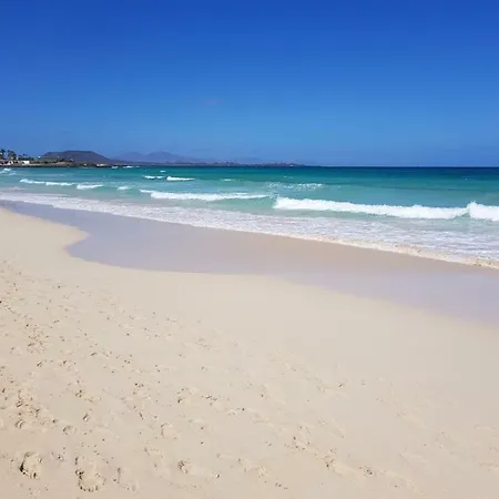 Appartement Casa Palmer *