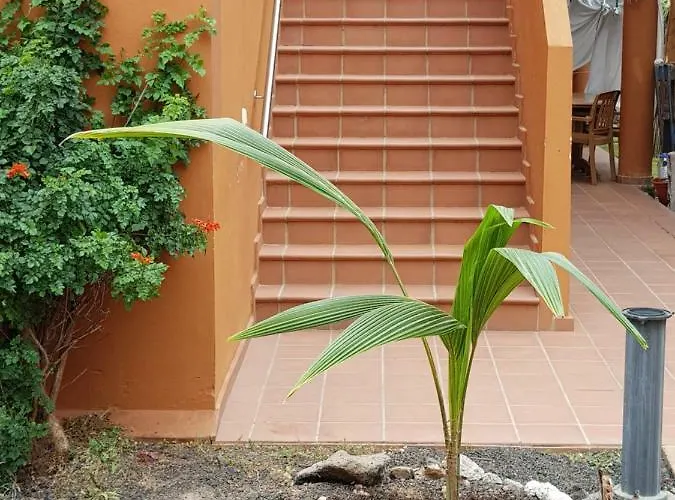 Apartmán Casa Palmer