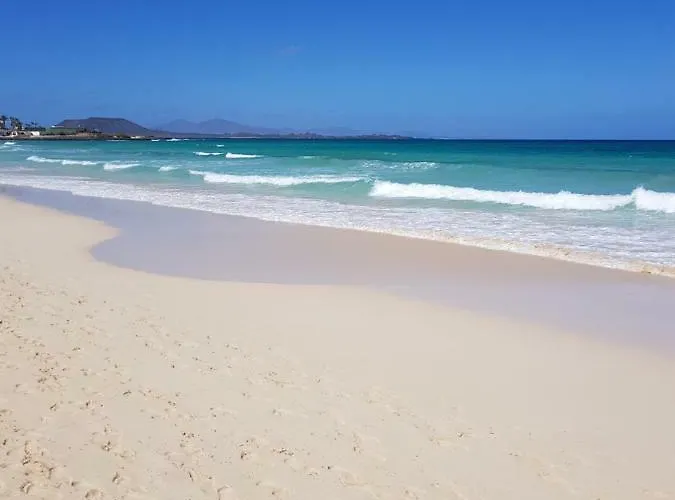 Apartamento Casa Palmer *