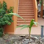 公寓 Casa Palmer
